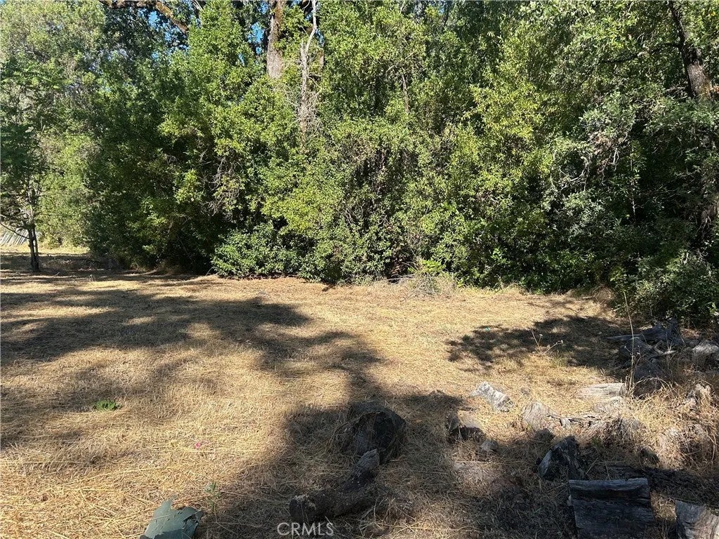 15394 Mckell