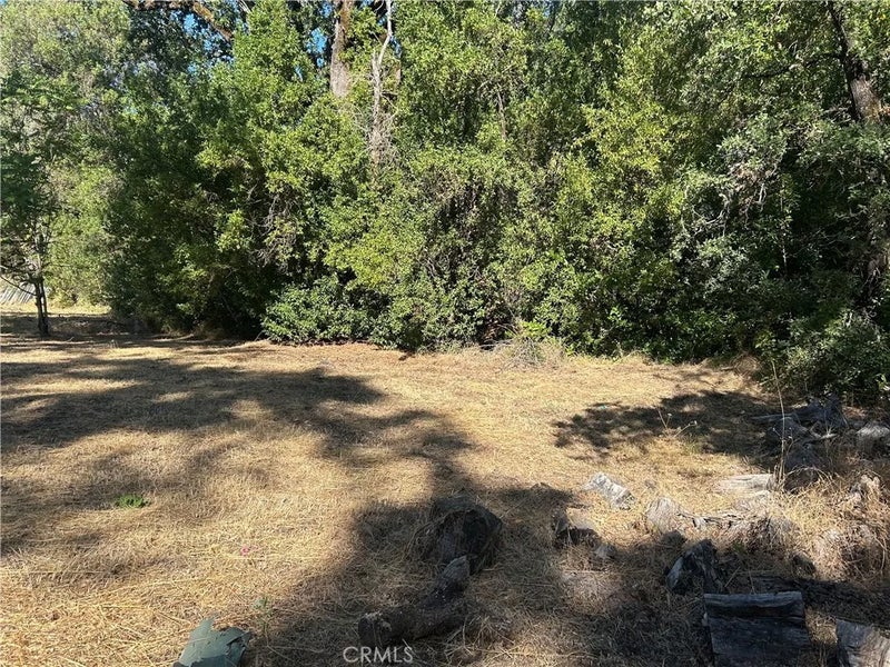 15394 Mckell