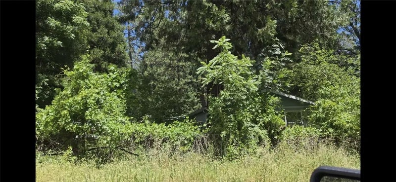 14606 Wood
