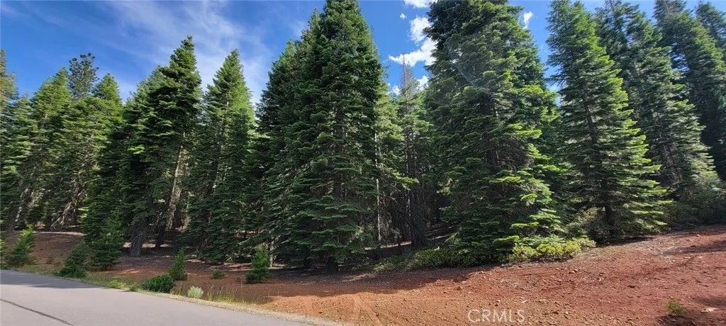 Photo of 233 Snowy Peak WAY, Lake Almanor, CA 96137 (MLS # SN26112909)