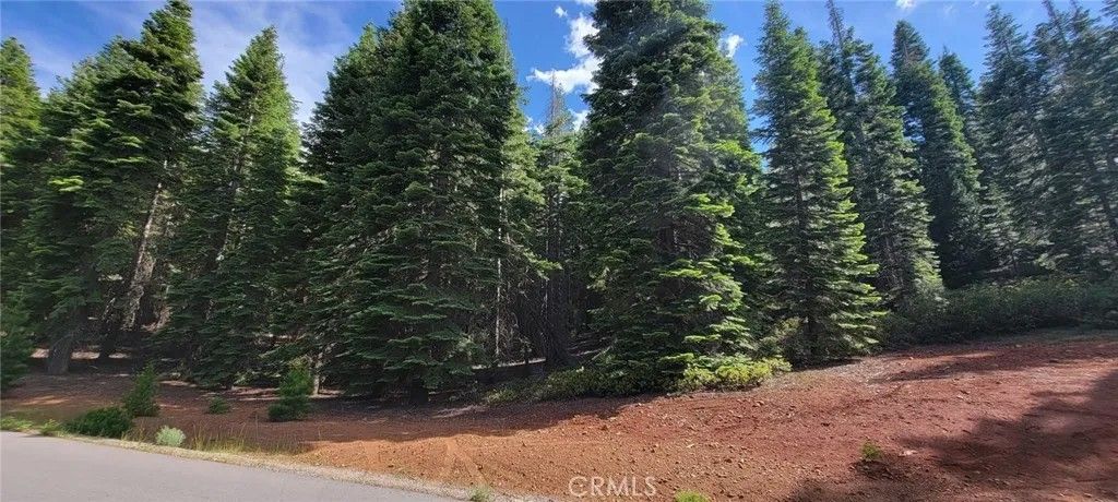 Photo of 233 Snowy Peak WAY, Lake Almanor, CA 96137 (MLS # SN26112909)