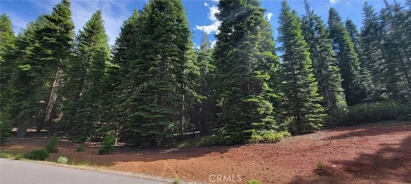 233 Snowy Peak