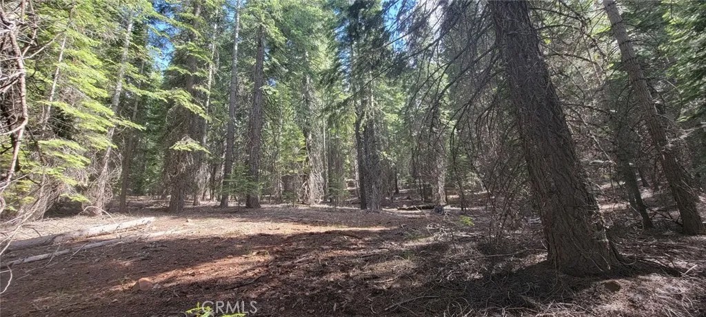 233 Snowy Peak