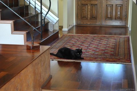 Tiny photo for 11023 Viacha Dr, San Diego, CA 92124 (MLS # 250042636)