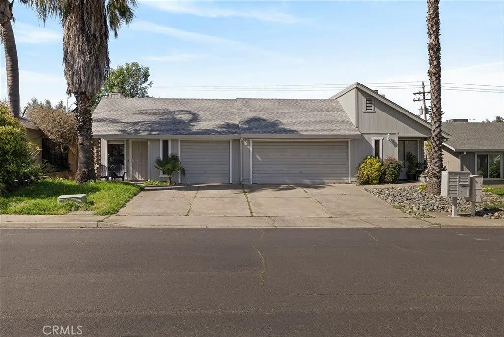 6 Orangewood