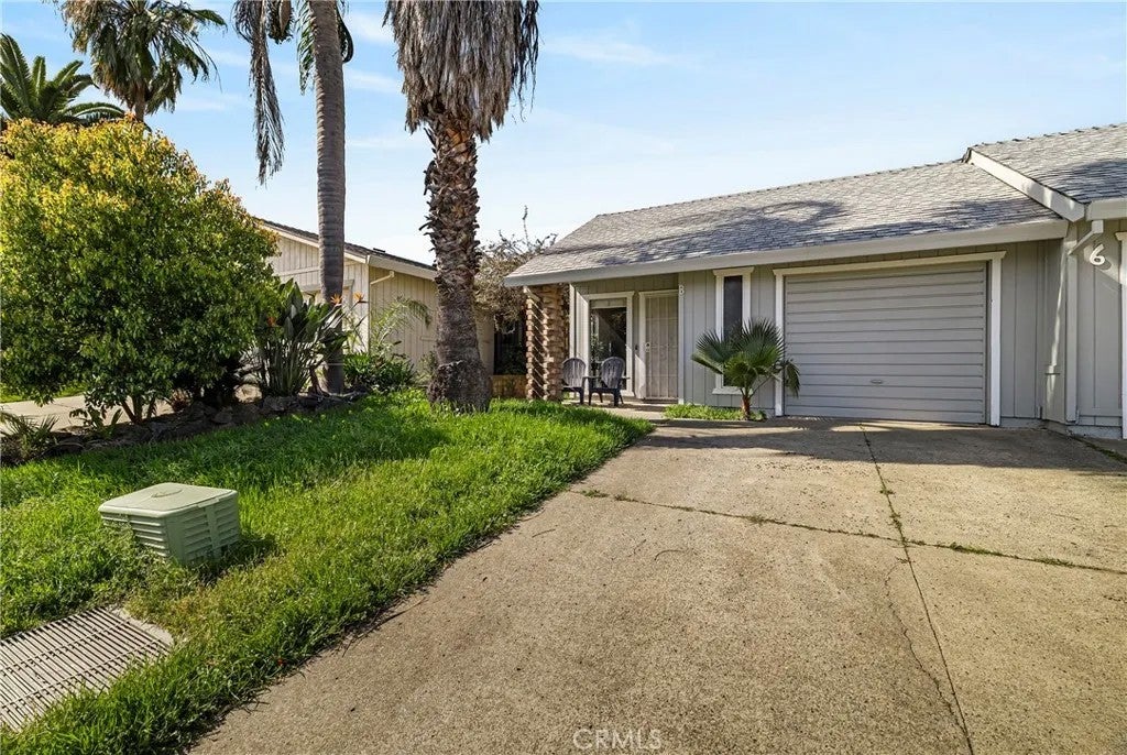 6 Orangewood