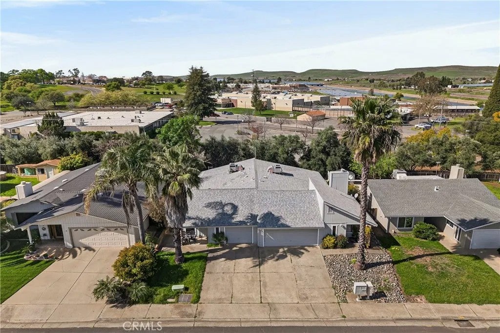 6 Orangewood