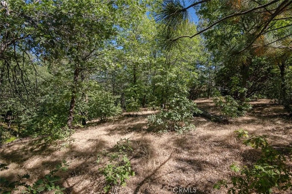 Photo of 0 North Shore, Lake Arrowhead, CA 92352 (MLS # IG26028461)