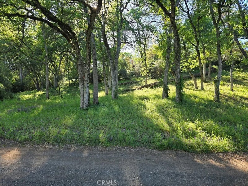 6176 Armijo