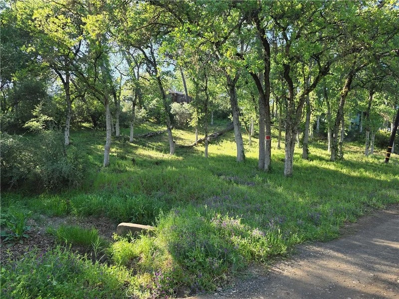 6176 Armijo