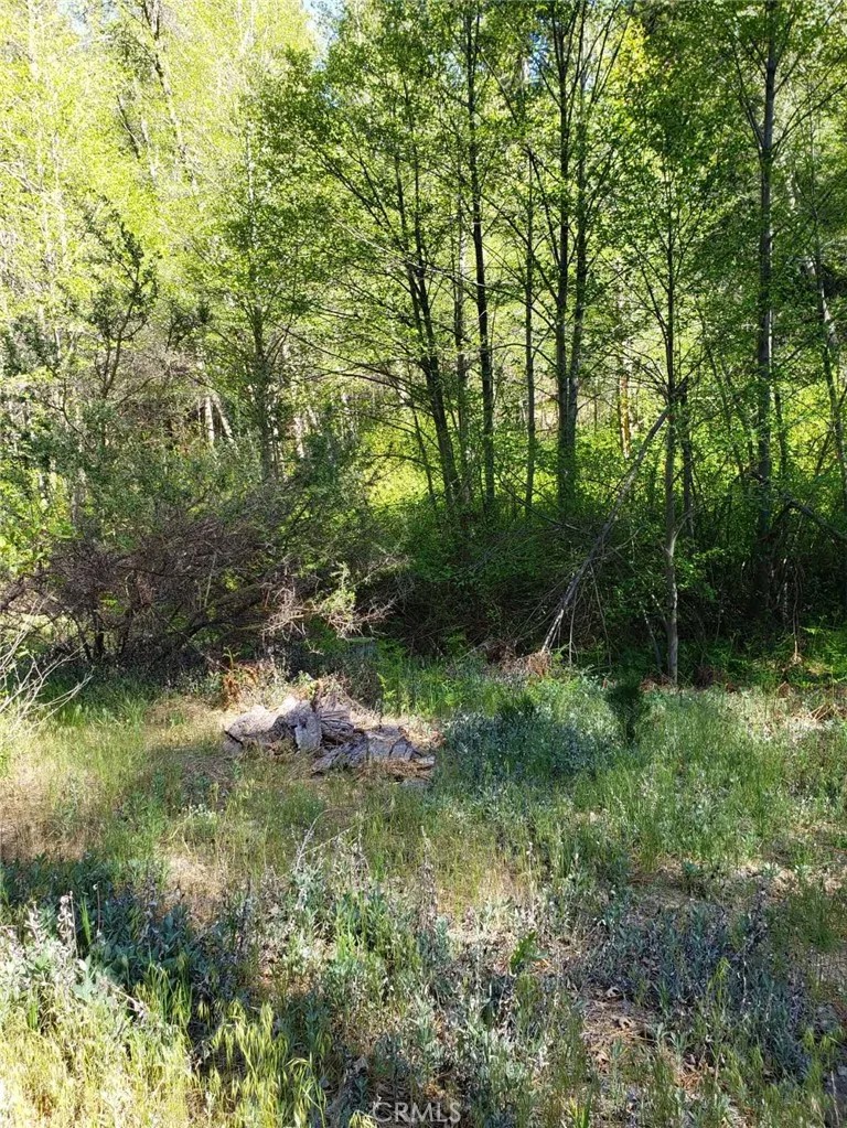 29531 Little Bear Creek