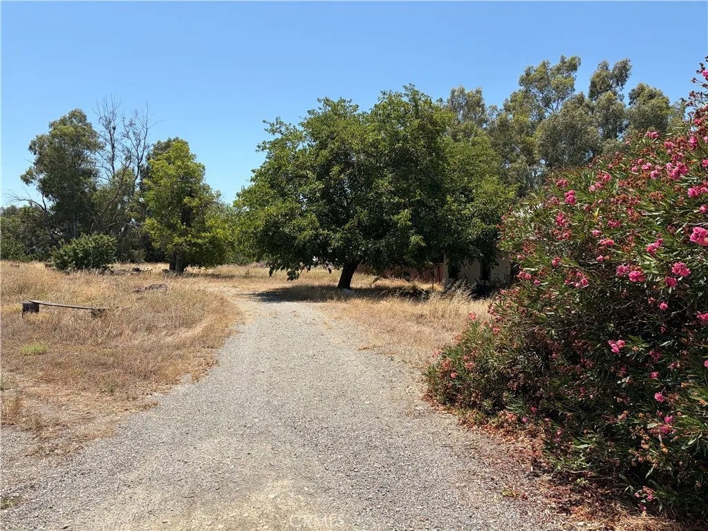 6517 County Road 18