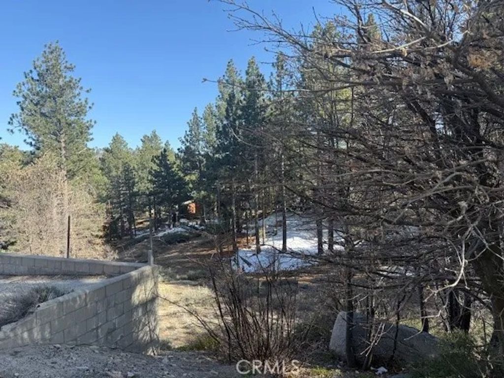 Photo of 33263 Holcomb Creek, Green Valley Lake, CA 92341 (MLS # IV26094153)