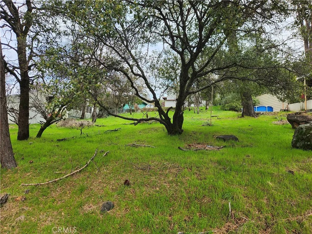 582 Silver Leaf Dr.