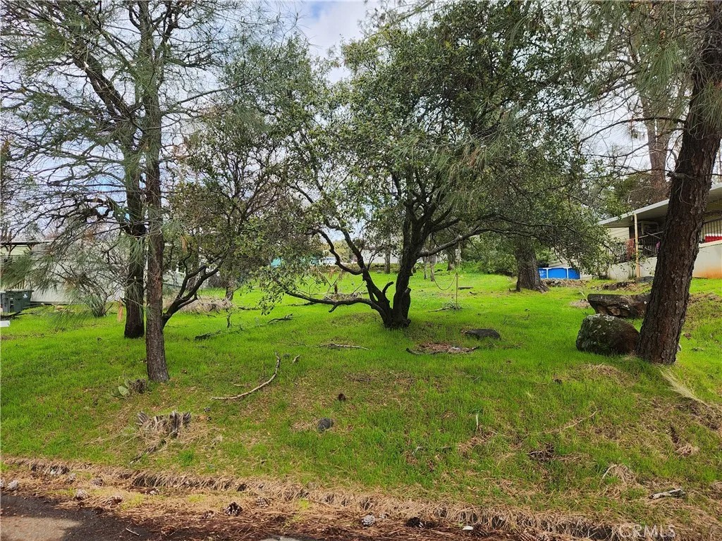 582 Silver Leaf Dr.