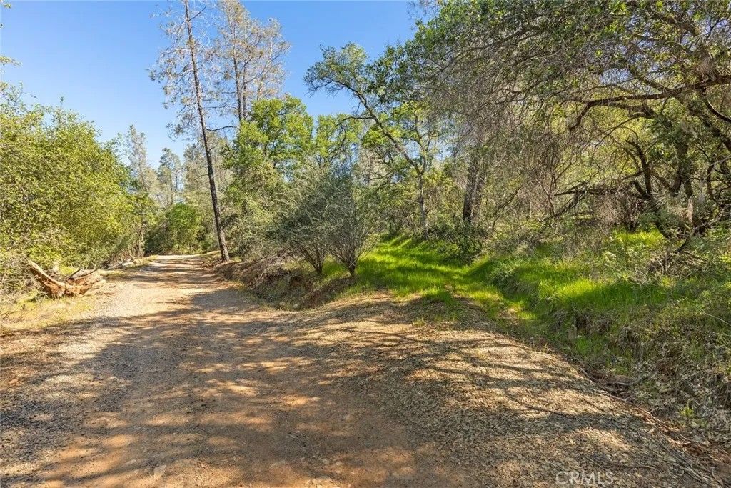 Photo of 0 Louise, Oroville, CA 95965 (MLS # SN26061912)