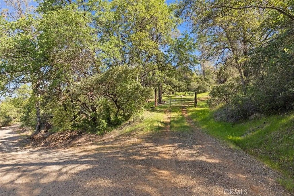 Photo of 0 Louise, Oroville, CA 95965 (MLS # SN26061912)