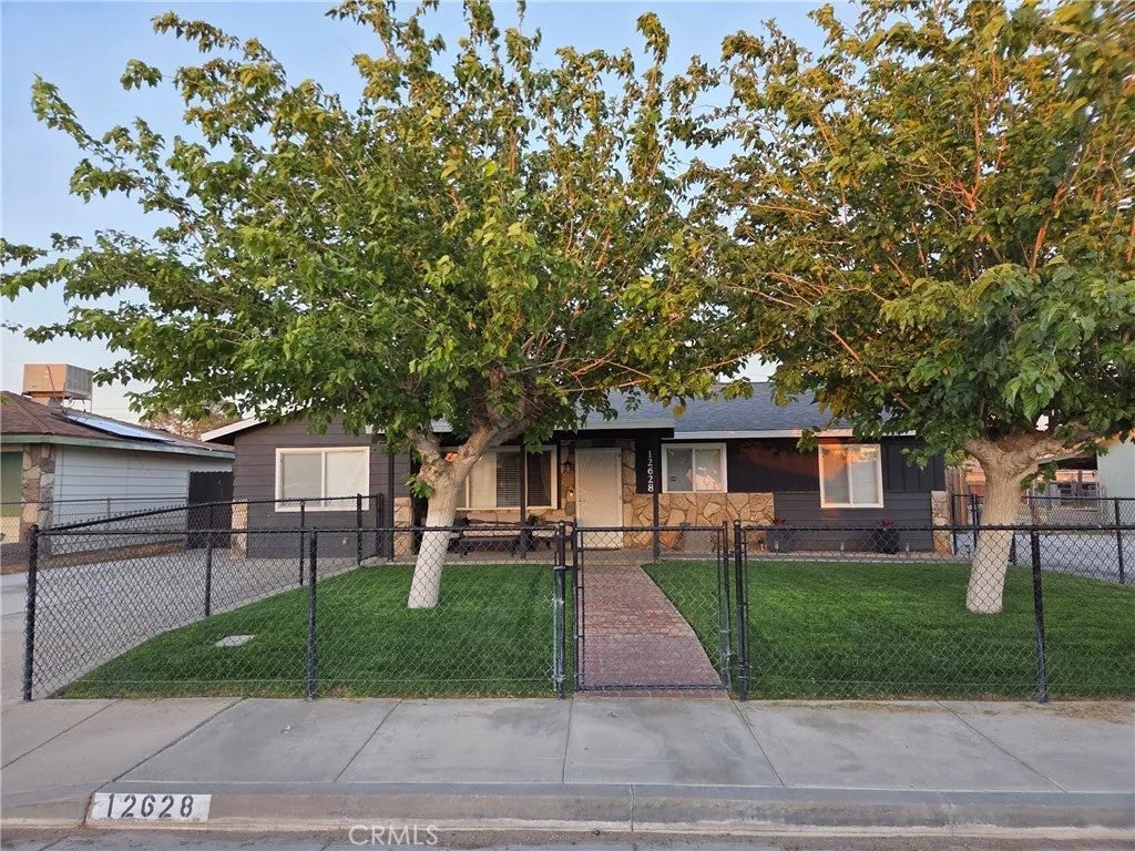 12628 Daisy Street
