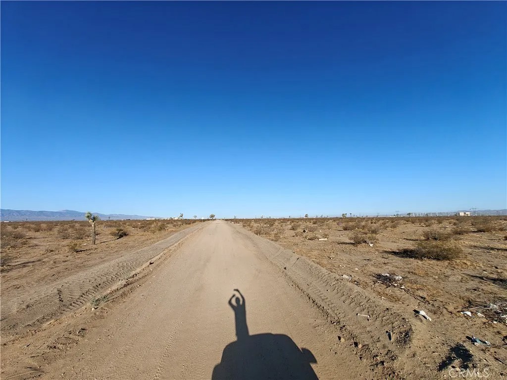 0 Cactus
