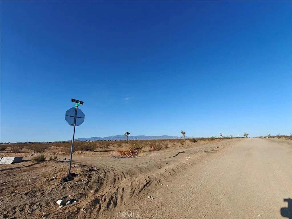 0 Cactus
