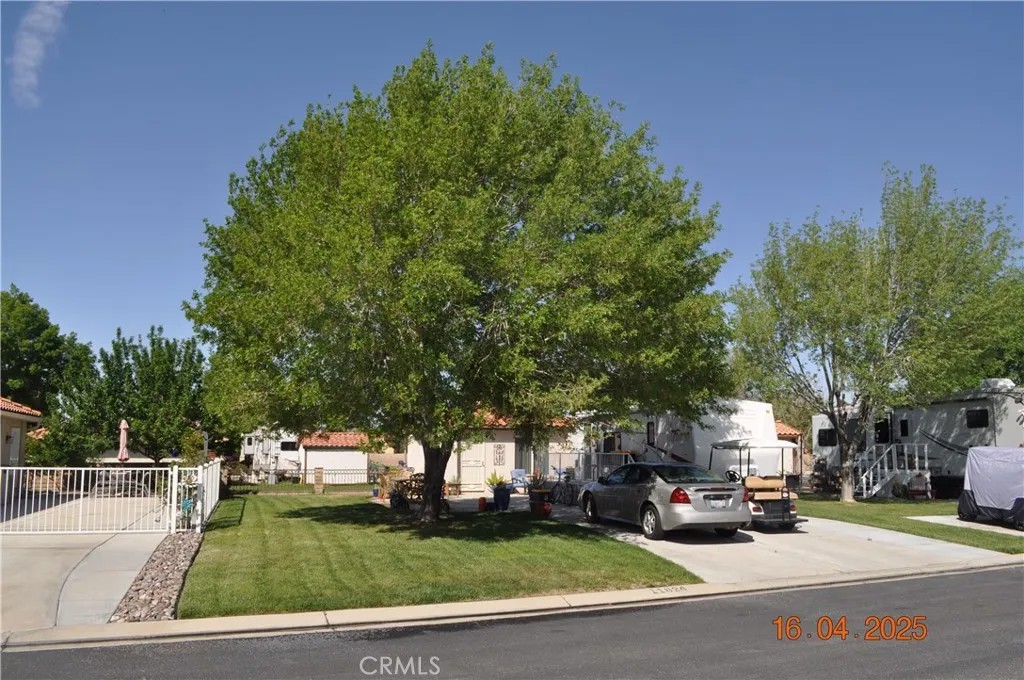 11624 Ridgemark