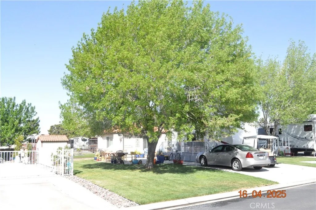 11624 Ridgemark