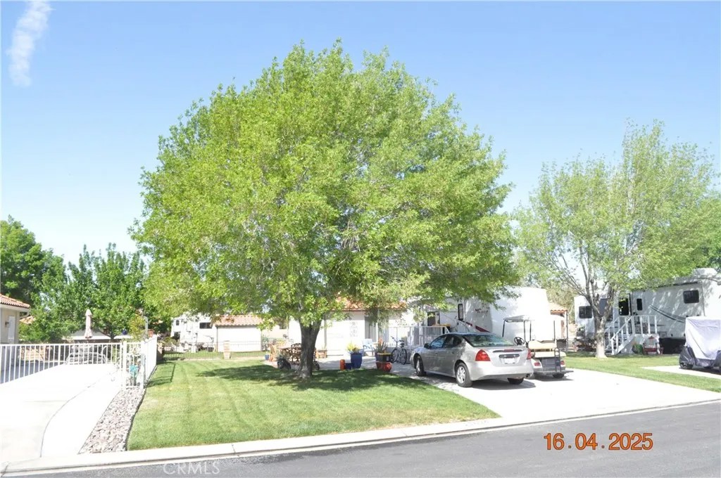 11624 Ridgemark