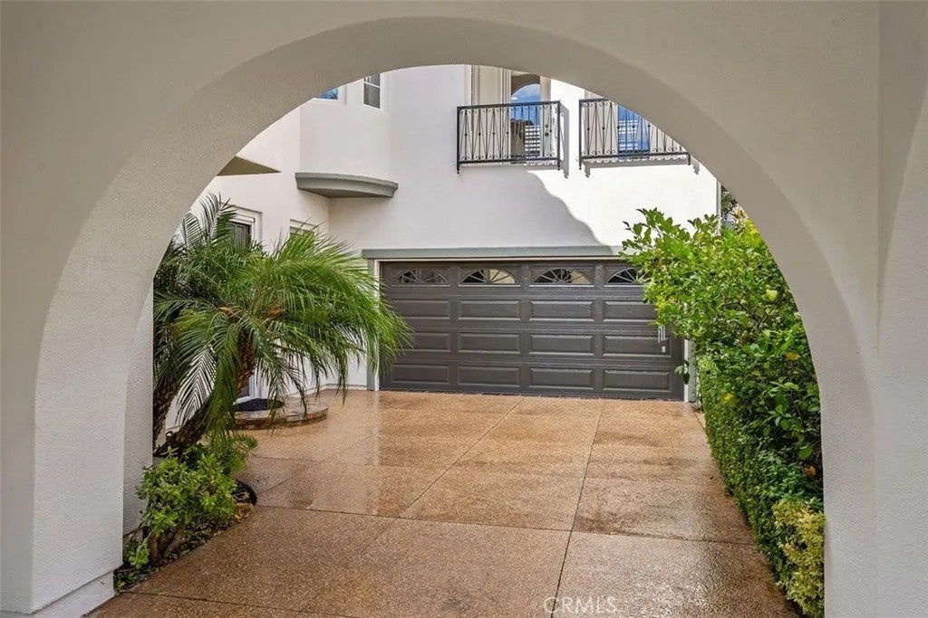 25 Carpenteria