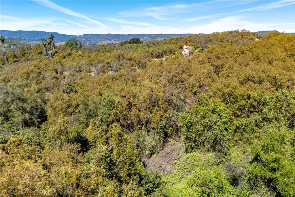 6 El Prado Road