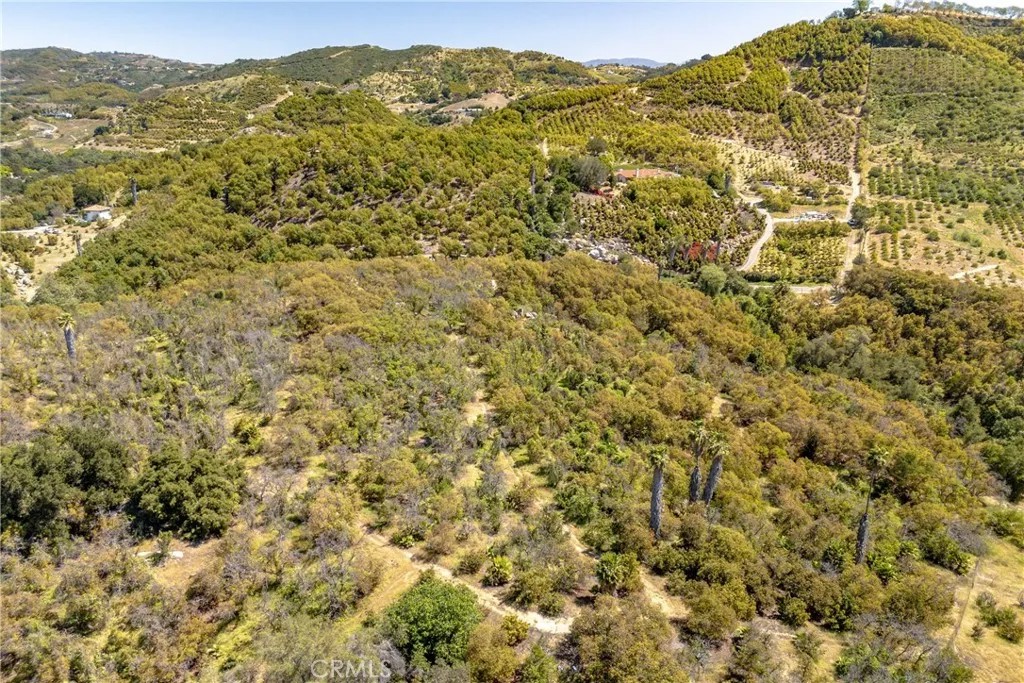 6 El Prado Road