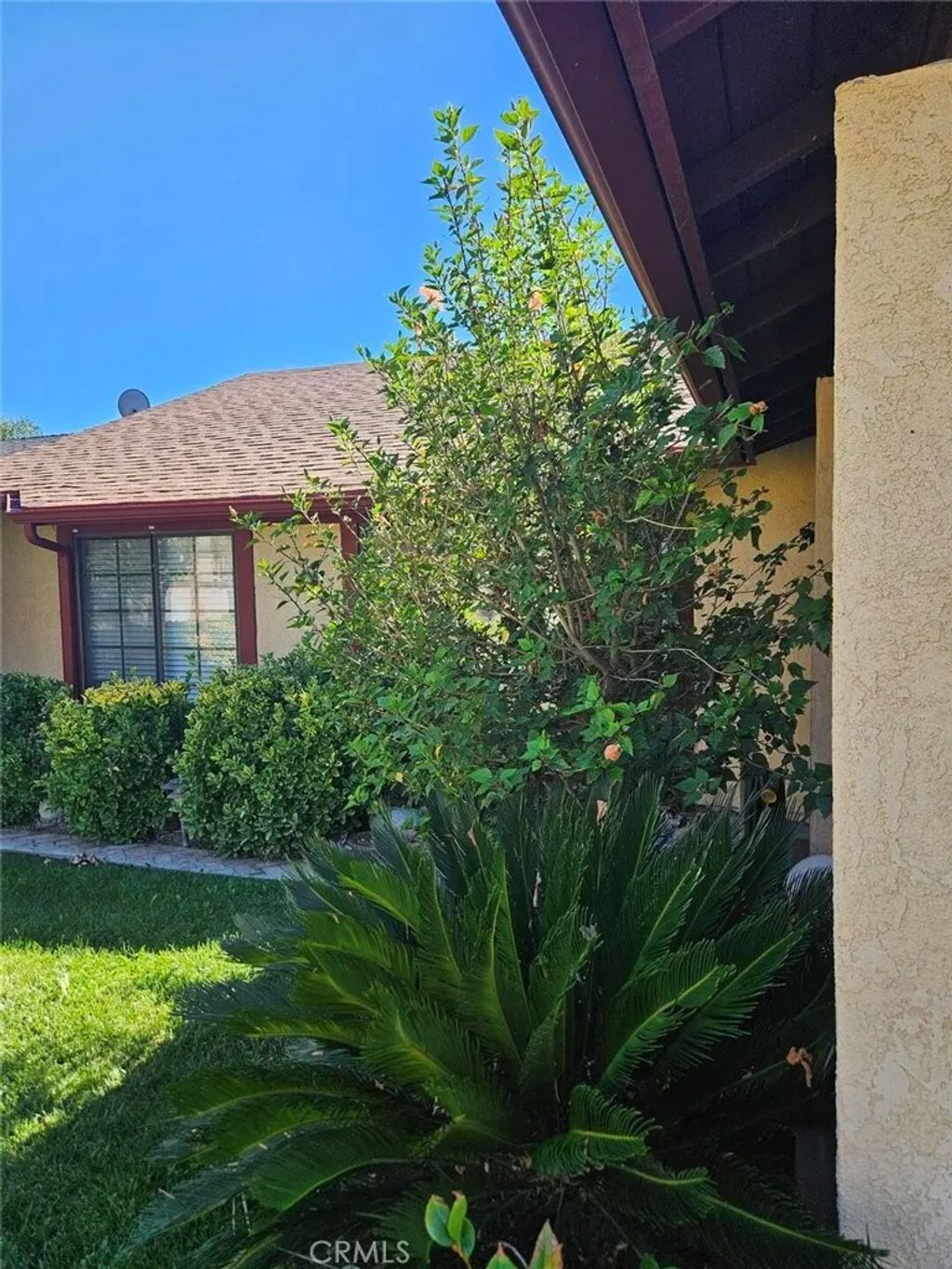 Photo of 436 Buckingham Dr, San Jacinto, CA 92583 (MLS # SW25226701)