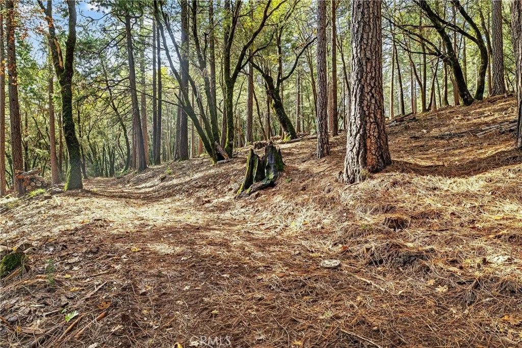 Photo of 0 Cedar Creek, Forest Ranch, CA 95942 (MLS # SN26009084)