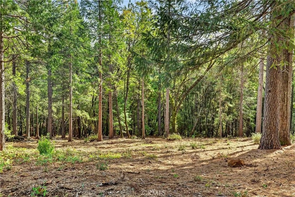 Photo of 0 Cedar Creek, Forest Ranch, CA 95942 (MLS # SN26009084)