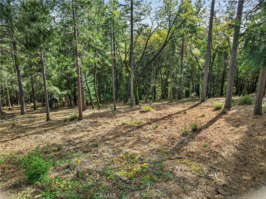 0 Cedar Creek