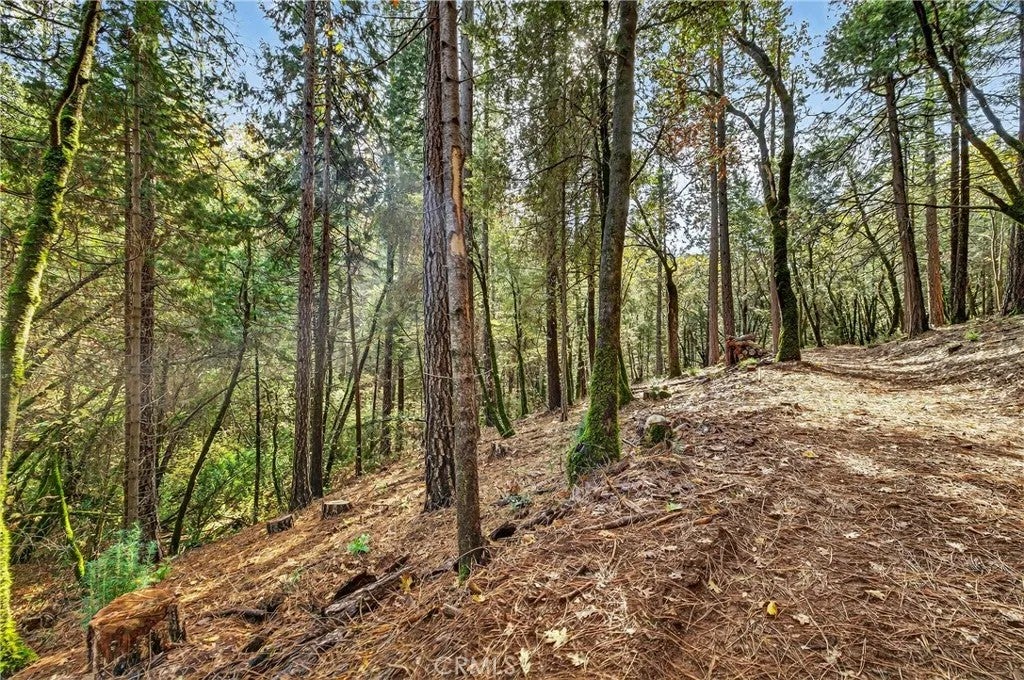 0 Cedar Creek
