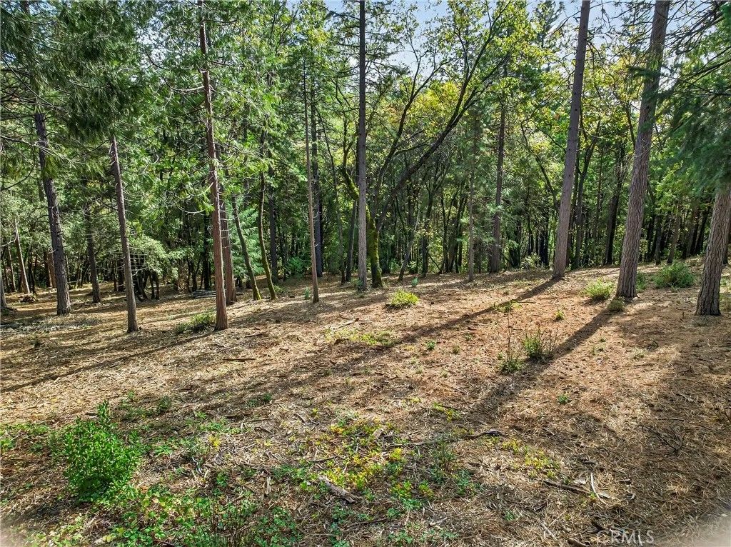 Photo of 0 Cedar Creek, Forest Ranch, CA 95942 (MLS # SN26009084)