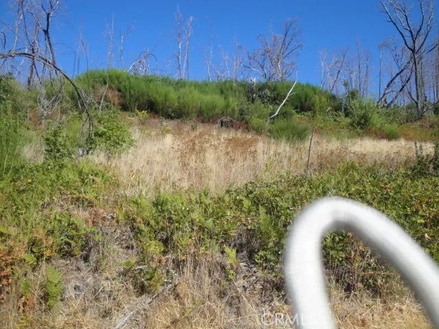 0 Meadow