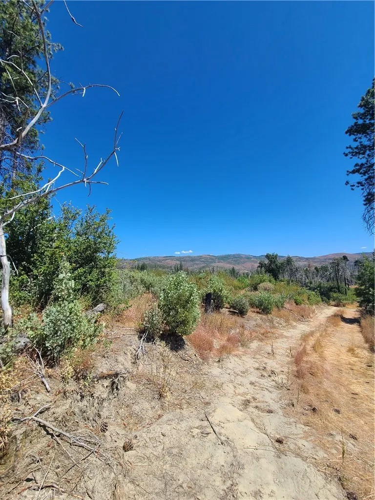 0 HOG RANCH ROAD
