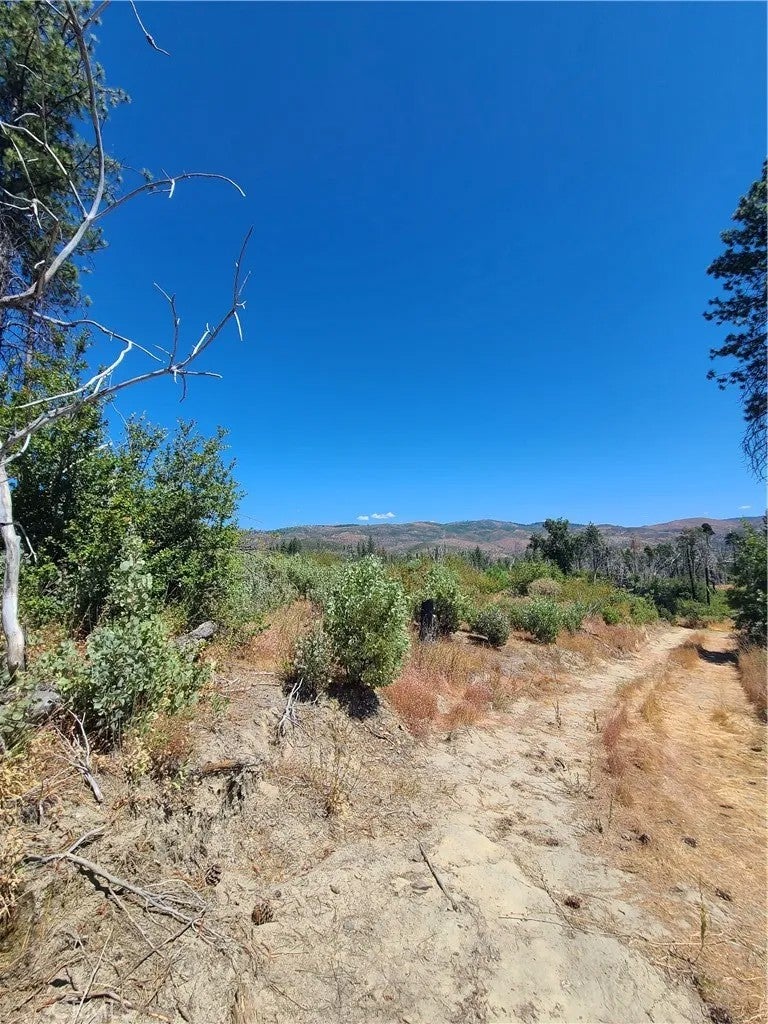 0 HOG RANCH ROAD