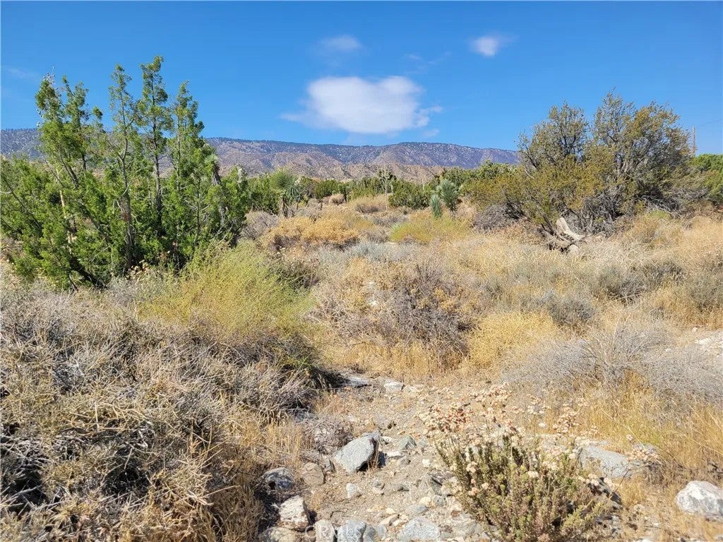 Photo of 0 Tamarack, Pinon Hills, CA 92372 (MLS # HD26173546)