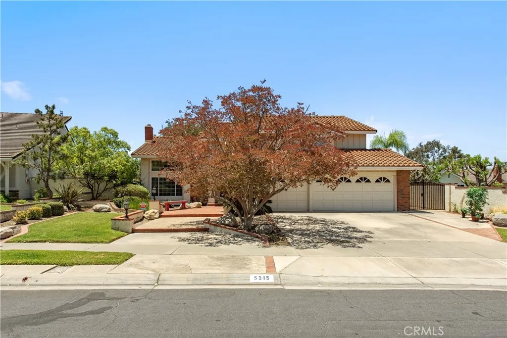 5315 Vista Montana