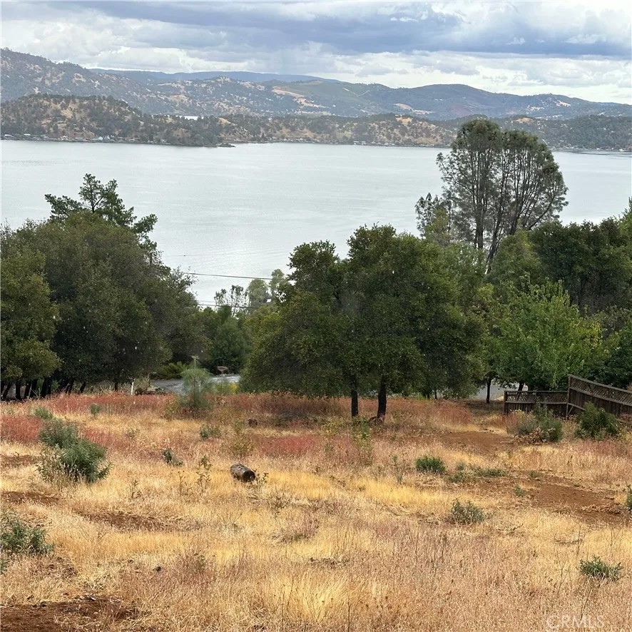 3337 Riviera West
