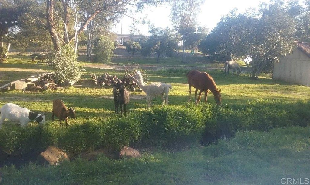 Photo of 6490 Rainbow Heights Road, Fallbrook, CA 92028 (MLS # NDP2510767)