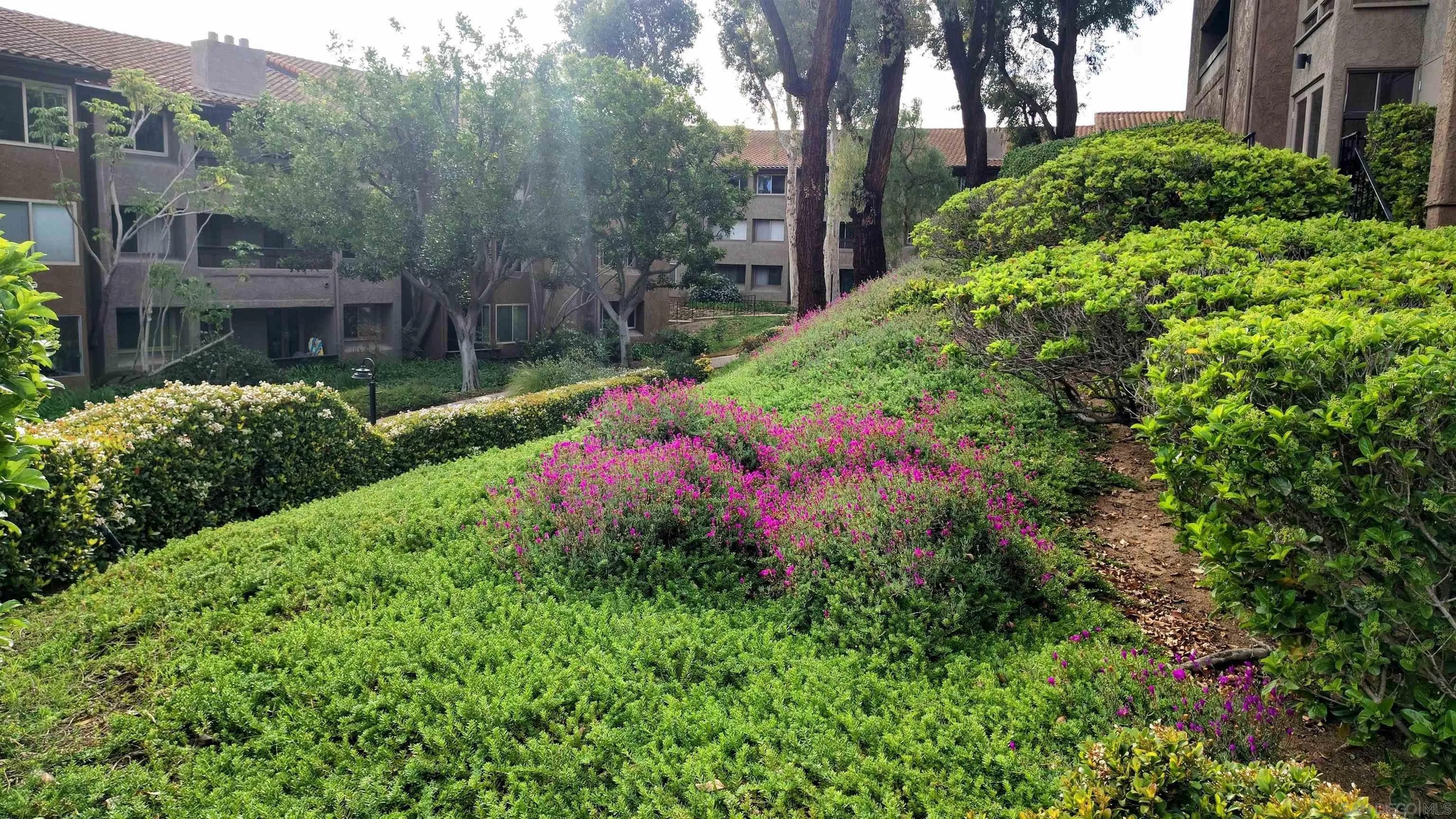 10225 Caminito Cuervo 140