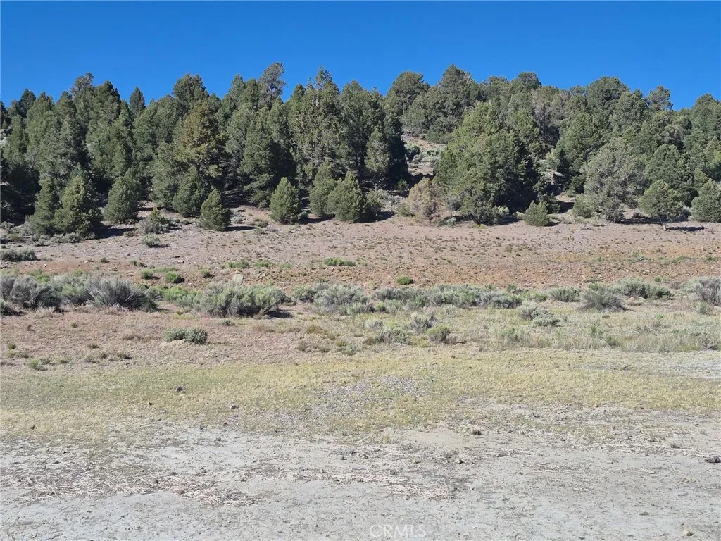 2787 Erwin Ranch