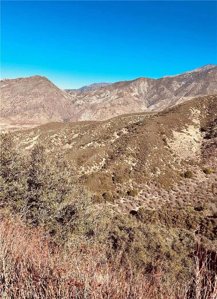 37551 Pisgah Peak
