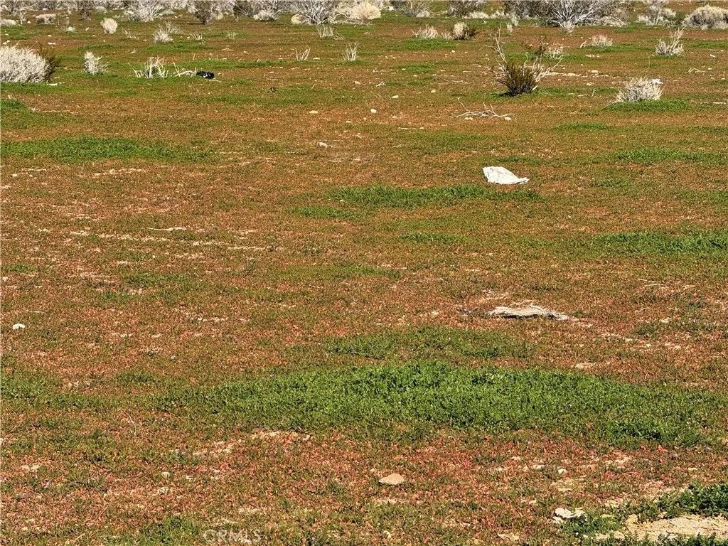 Photo of 0 0, Morongo Valley, CA 92256 (MLS # HD26011909)