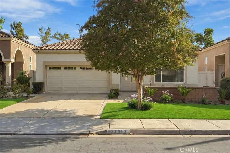 22810 Mountain Ash