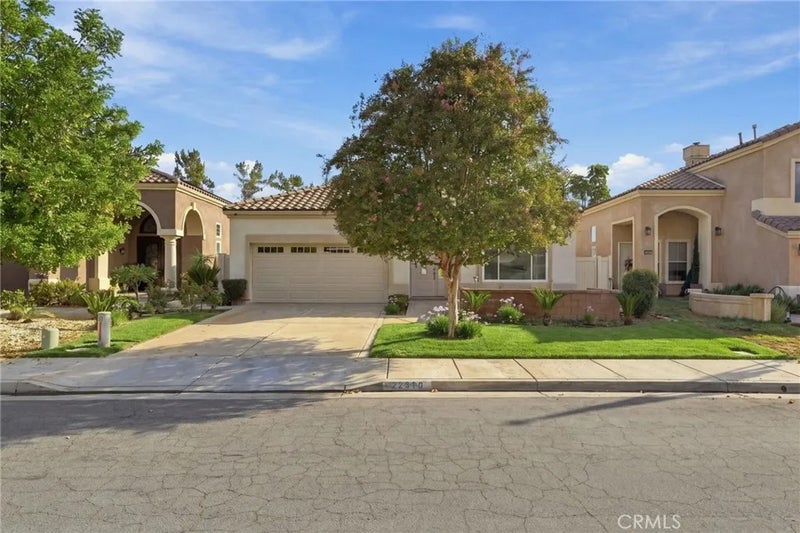 22810 Mountain Ash