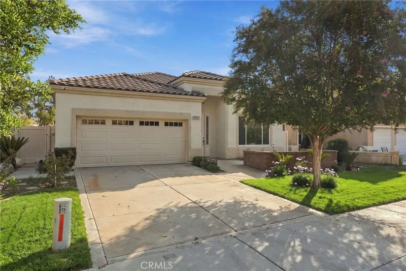 22810 Mountain Ash